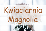 Kwiaciarnia Magnolia